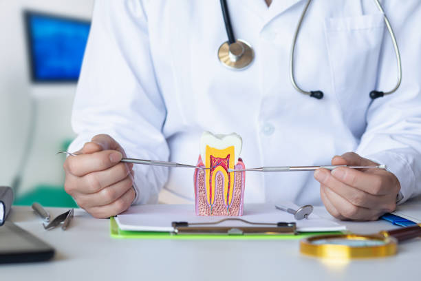 Best Emergency Treatment for Toothache in Collinwood, TN